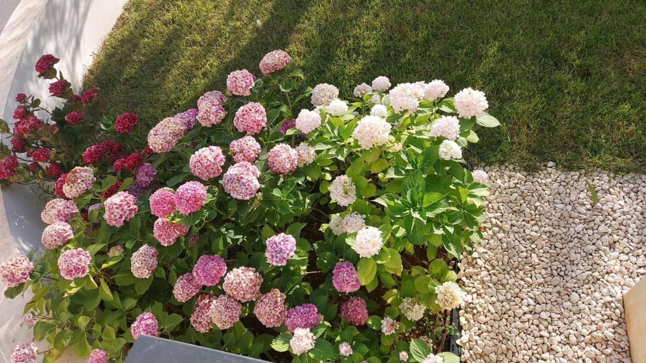 بورتو سيساريو La Casa Di Francesca B&B Con Parcheggio Privato المظهر الخارجي الصورة